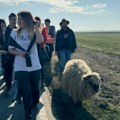 Evo kako su izgledala stopala studenta posle 100 km pešačenja od Beograda do Novog Sada: Fotografije koje više od reči