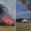 Veliki požar kod Divčibara, vetar otežava gašenje: Vatra zahvatila šest hektara borove šume i niskog rastinja (Foto)