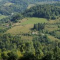 Danas je Međunarodni dan šuma: Znate li koliko teritorije pokrivaju u Srbiji?