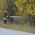 Sprečena katastrofa kod Carske bare: Brzom reakcijom sačuvano zaštićeno područje
