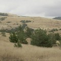 Imate alergije ili probleme sa disanjem? Ova planina će vam promeniti život zauvek.