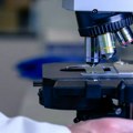 Pesticidi pod lupom naučnika zbog moguće povezanosti hemikalija sa rakom dojke