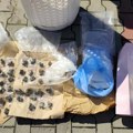Pao diler na Čukarici! Policija mu upala u stan i dvorište, pa pronašla skrovište sa drogom: Zaplenjeno više od kilograma…
