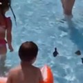 "Mama, mama, vidiii" Prizor na novosadskom bazenu oduševio najmlađe (VIDEO)