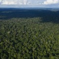 Dobre vesti iz Brazila: Stopa krčenja šuma u brazilskoj Amazoniji najniža u poslednjih šest godina