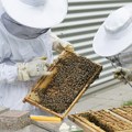 Upozorenje pčelarima u Zrenjaninu: Tretmani protiv komaraca iz vazduha i sa zemlje! Zrenjanin - Ciklonizacija