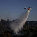 Veliki požar Na Svetoj gori Iz helikoptera pokušavaju da obuzdaju vatrenu stihiju