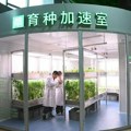 Kina završila veliki projekat za suzbijanje dezertifikacije u Unutrašnjoj Mongoliji