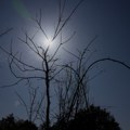Letnja žega se pojačava, oprez zbog visokih temperatura