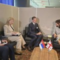 Čadež: Slobodna trgovina sa Gruzijom velika šansa