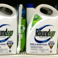 Bajer i Monsanto plaćaju 7,25 milijardi dolara ljudima koji su dobili rak zbog njihovog herbicida glifosata