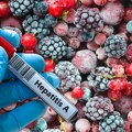 Čije je voće zaraženo hepatitisom A? Sprona pošiljka skoro pojedena - inspekcije češljaju hladnjače i voćare