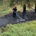 Borba kod Vranja i dalje traje! Požar bukti još od nedelje, vatra zahvata nova područja
