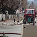 Ženu napao čopor pasa lutalica kod škole “9. oktobar”