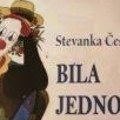 Bila jednom jedna Stevanka: Književni prvenac Stevanke Češljarev u Biblioteci grada Beograda