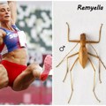 Naši naučnici otkrili novu vrstu insekta i nazvali je po Ivani Španović: Evo šta je zajedničko slavnoj atletičarki i ovoj…