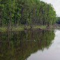 Neprocenjivo bogatstvo na području Sremske Mitrovice i Šida na 17.618,14 hektara Pokrenut postupak zaštite Specijalnog…