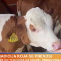 Tradicija mlečnog govedarstva duga više od 70 godina, a budućnost neizvesna! Stojanovići: "Ima ko da nasledi, pitanje je da li…