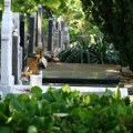 Ko je sve sahranjen na Topčiderskom groblju: Tu počivaju heroji, pesnici i kontroverzni likovi iz devedesetih