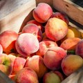 Ministarstvo poljoprivrede negira da je Srbiji zabranjen izvoz voća u EU