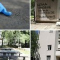 Najjeziviji detalji brutalnog ubistva oca dečaka u parku na Voždovcu: Od vređanja do smrskane lobanje i baklje