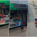 Vrane napadaju ljude u gradovima, a sad počele i da kradu! Ovaj snimak šokirao Beograđane: Zanemeli zbog ovog prizora video