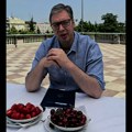 Nakon izbora u Kosjeriću i Zaječaru: Vučić uz trešnje i jagode poziva neistomišljenike na dijalog