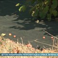 Organski lešnik na Pejićevim salašima