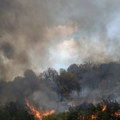 Gori u Hrvatskoj: Izbio požar na Braču, vetar rasplamsao vatru u borovoj šumi (foto)
