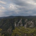Planina Tara pred ulaskom na čuvenu UNESKO listu, srpske šume za ponos Nominovani Zvezda i Rača koji se prostiru na površini…