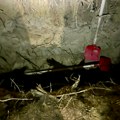 Policija ih zatekla kako kopaju raku za žrtvu: Hapšenje organizovane kriminalne grupe u Beogradu i Požarevcu