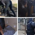 Ovako su pali predatori iz armagedona: Pogledajte trenutak hapšenja trojice muškaraca u Srbiji