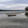 Dunav u ovom gradu u Srbiji je na istorijskom minimumu! Više od 100 čamaca zarobljeno u mulju i kamenju, a ispod površine vode…