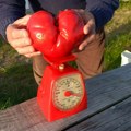 Deda Sredo u čudu: Na 1.300 metara nadmorske visine rodio paradajz rekorder i to u obliku srca