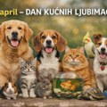 11. April – Svetski dan kućnih ljubimaca Dan kućnih ljubimaca