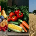 U zdravoj hrani ne sme biti ni zrno GMO: Zakon o organskoj proizvodnji stupio na snagu