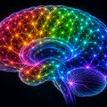 Oreksin - hemijska supstanca u mozgu koja bi mogla da bude ključna za motivaciju