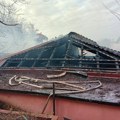 Lokalizovan požar na Senjaku: Više od 30 vatrogasaca učestvovalo u obuzdavanju vatrene stihije (FOTO)