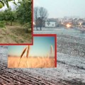 Upozorenje stručnjaka: Temperaturni šok usporava rast biljaka, a sneg i mraz dodatno komplikuju situaciju