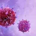Istraživači u Belgiji razvili metod koji bi HIV virus mogao da učini trajno bezopasnim