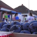 Niz kulturnih, zabavnih, edukativnih sadržaja i promocija na Šumadijskim danima šljive
