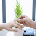 Ljubavne priče dobile novo poglavlje: Pogledajte ko se venčao