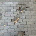 Popraviće kad se neko izlomi - MOŽDA - Devastiran trotoar u Nikole Pašića koji nadležni GODINAMA ignorišu (FOTO)