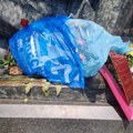 Pupovac: Venac u kesi za smeće na Teslinom spomeniku u Zagrebu, dobro znamo šta se htelo poručiti