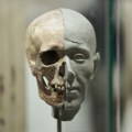 Mračna strana rimske istorije: Izložba u Narodnom muzeju posvećena misterioznoj drevnoj grobnici