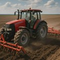 Saveti PSS Zrenjanin – Međuredno kultiviranje važna agrotehnička mera Saveti PSS Zrenjanin