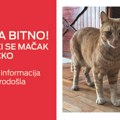 Svi traže Švrćka
