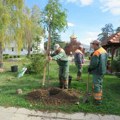 Kragujevac: Posađene nove sadnice u okviru akcije Posadi drvo