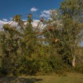 U ukleti luna-park niko ne sme da uđe, meštani tvrde da se ljuljaške same pomeraju i da se noću čuju krici dece