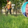 Počinje udar ambrozije: Dr. Sinicki otkriva kada su simptomi alergije najjači i kako da ih držite pod kontrolom
